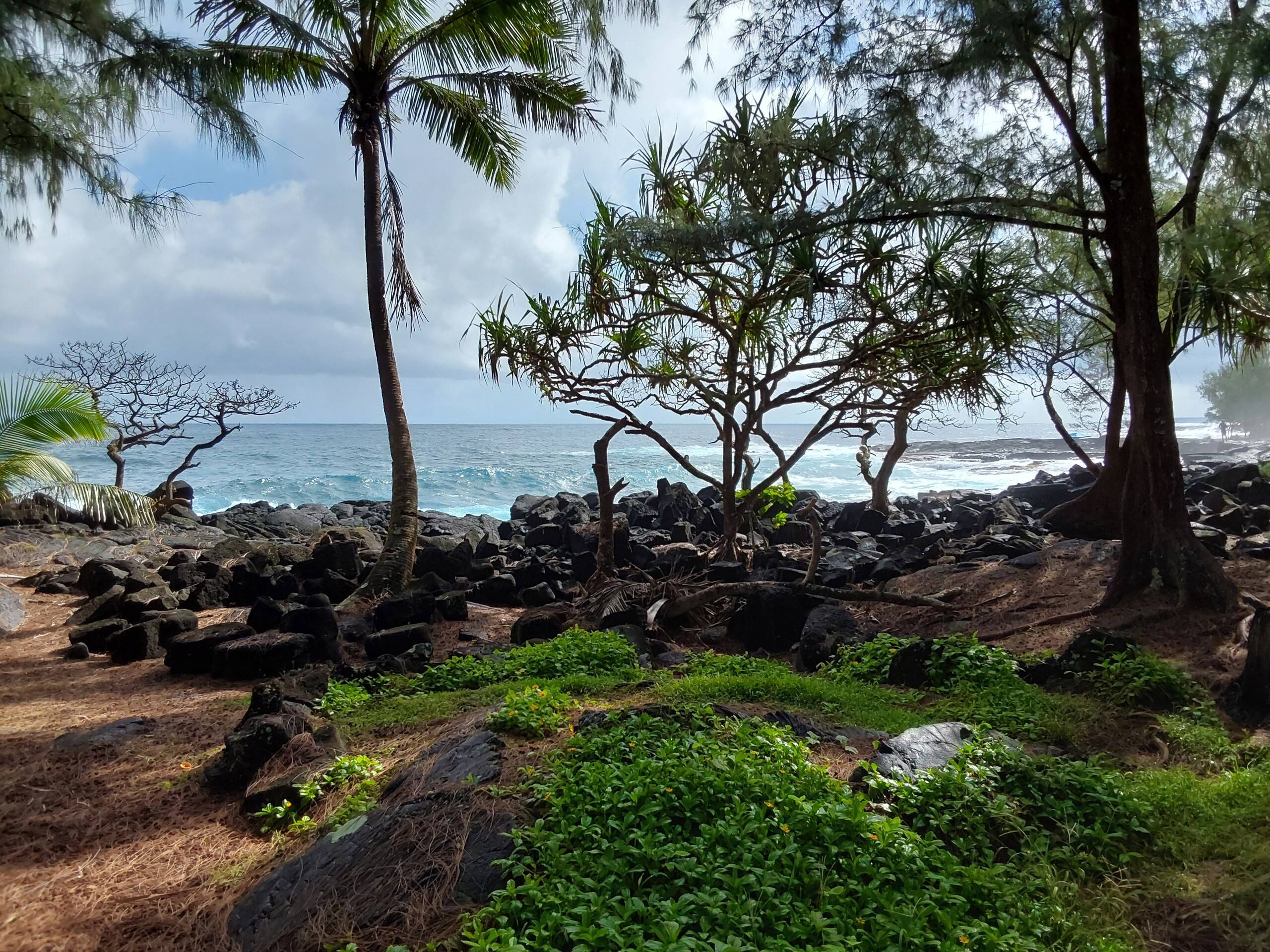 Home in Pahoa · ★5.0 · 1 bedroom · 1 bed · 1 private bath - Image 21
