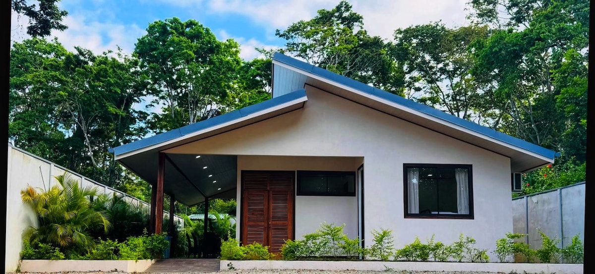 The property features a modern exterior with a sloped roof and large wooden double doors at the entrance. Lush greenery surrounds the house, providing a natural and serene environment. Large windows allow light to fill the interior, enhancing the overall open feel of the space.
