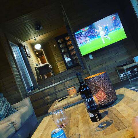 Top performing Airbnb: Great and pet-friendly cabin on the sunny side in Nore Og Uvdal