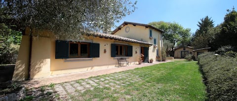 Beautiful farmhouse surrounded by greenery