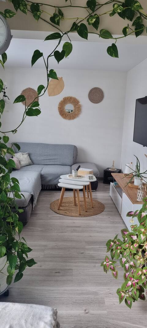 Bright apartment in Saint-Max/Nancy nearby