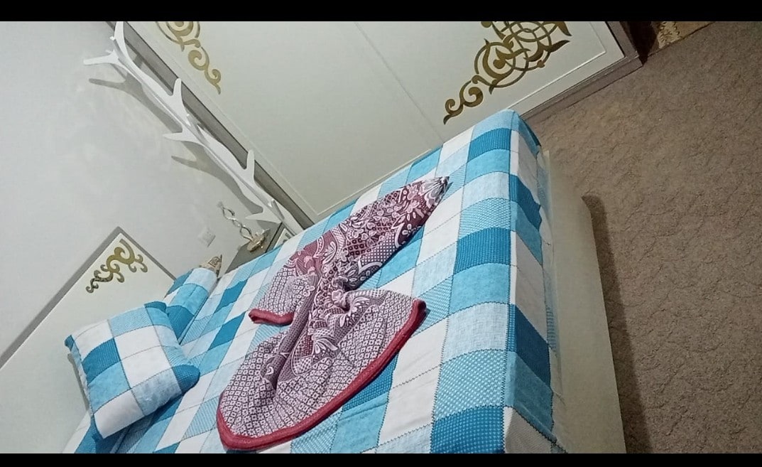 A neatly arranged sleeping area features a large blue and white checkered bedspread. A plush throw blanket is draped over the edge, complemented by a decorative towel. The room is enhanced by subtle wall art and a mirrored wardrobe.