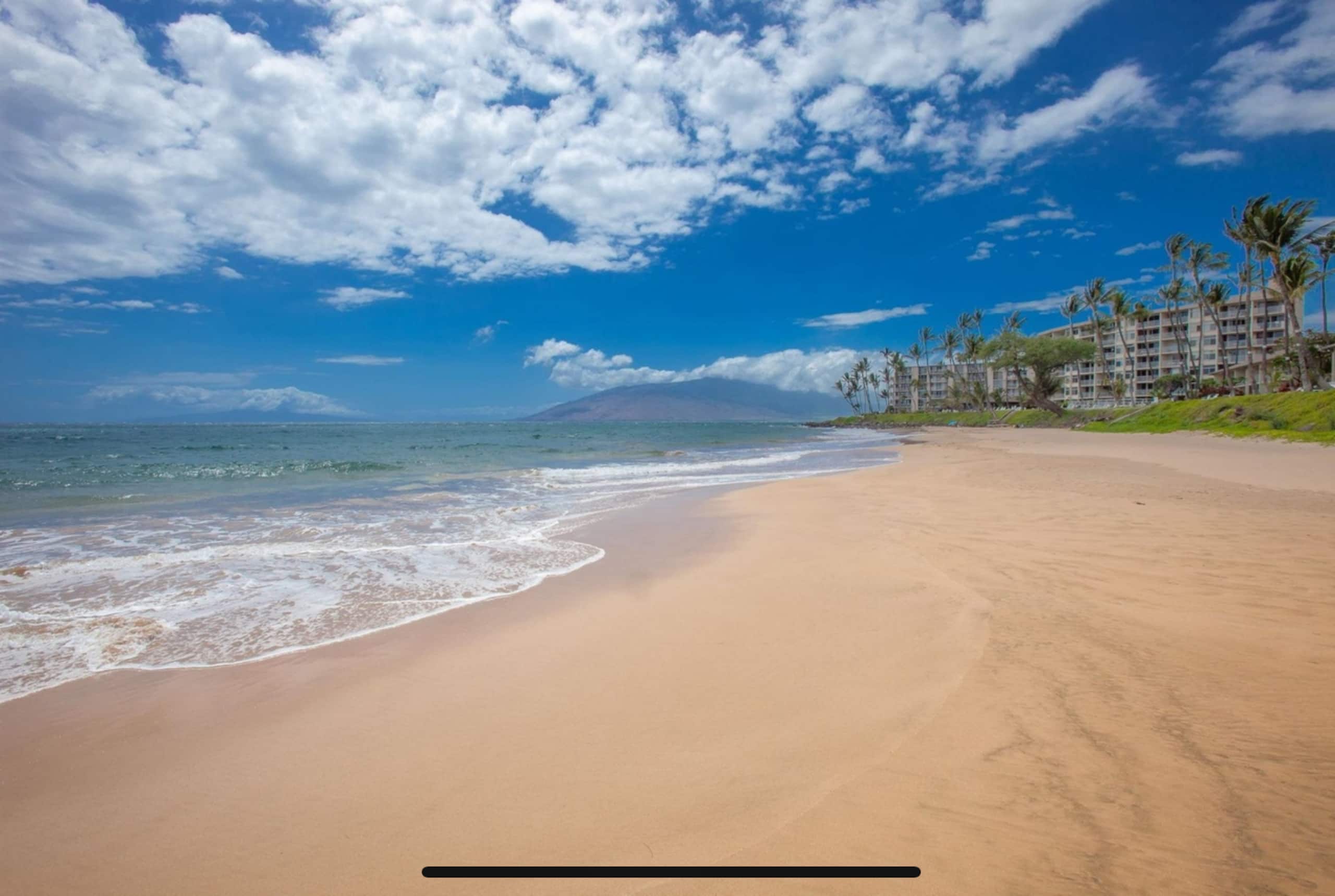 Condo in Kihei · ★4.95 · 1 bedroom · 2 beds · 1 private bath - Image 37
