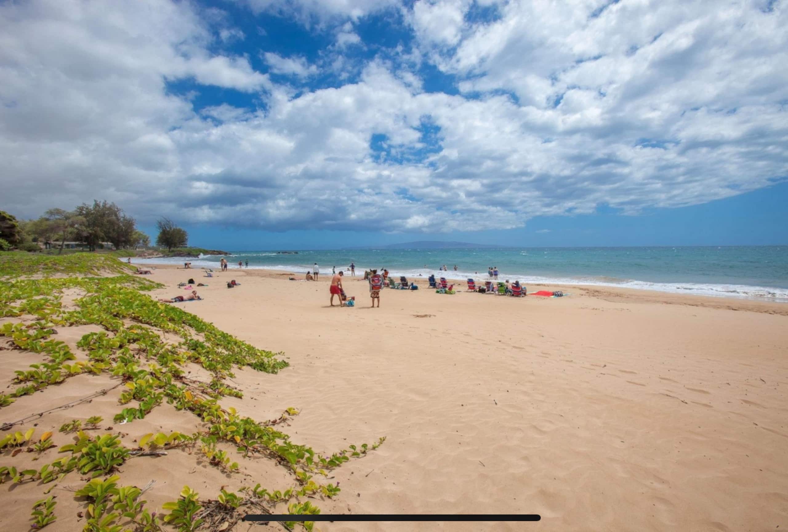 Condo in Kihei · ★4.95 · 1 bedroom · 2 beds · 1 private bath - Image 34