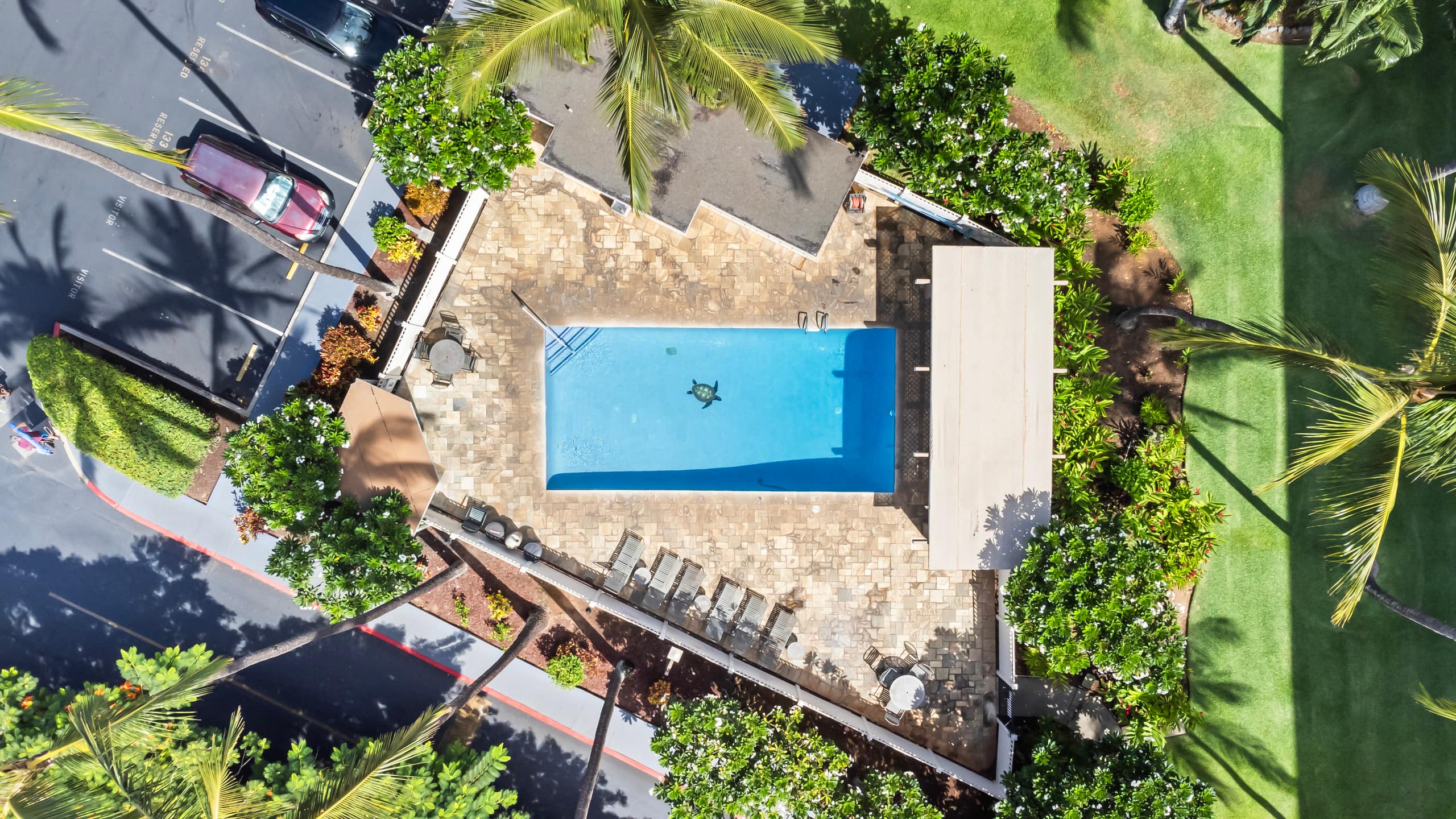 Condo in Kihei · ★4.95 · 1 bedroom · 2 beds · 1 private bath - Image 40