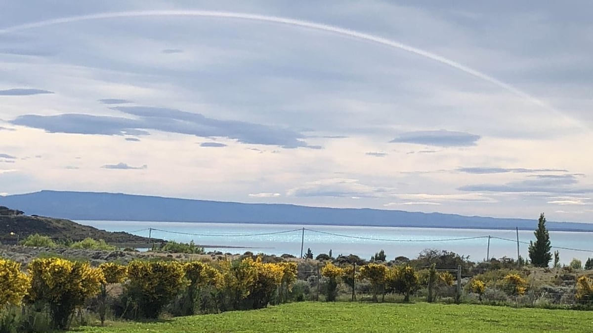 A view of Lake Argentino stretches across the landscape, with vibrant yellow flowers in the foreground. The tranquil waters reflect soft blue hues under a cloudy sky, while distant mountains outline the horizon.