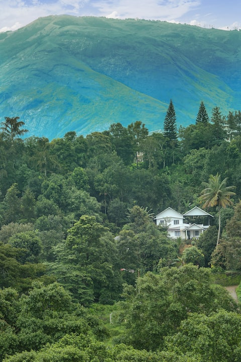 cozy_cova : 20 min to Munnar, Dam view& Boating