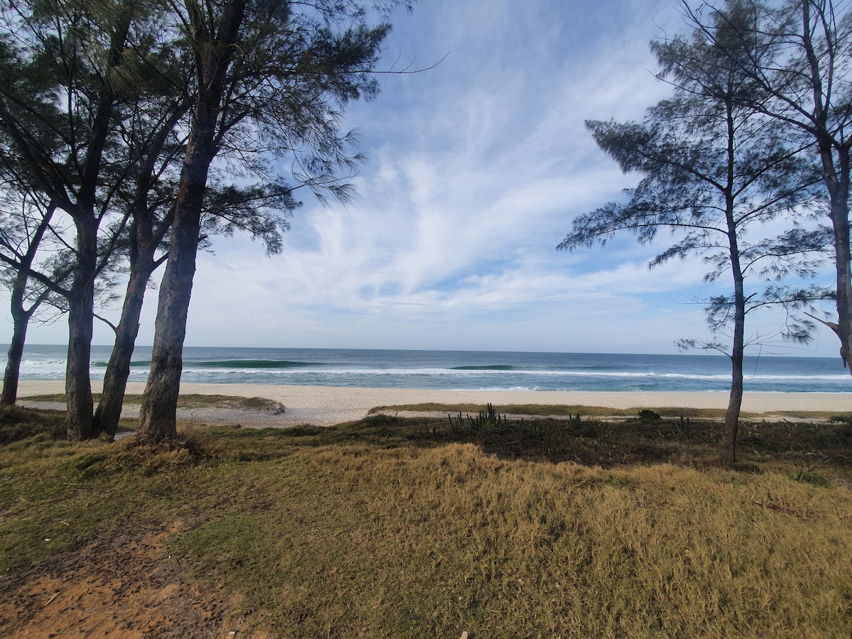 A scenic view of the beach is framed by tall trees on either side. Gentle waves roll onto the shore, with a soft sandy beach in the foreground. The expansive sky showcases a mix of clouds and clear blue, enhancing the serene coastal atmosphere.