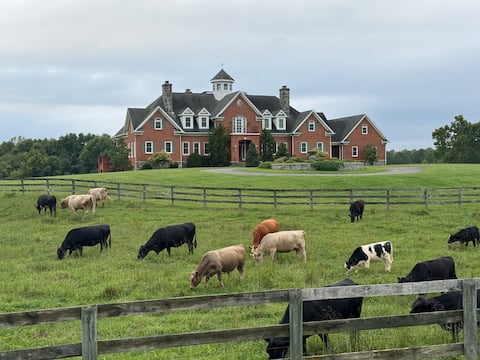 Luxurious equestrian estate, 110 acre farm