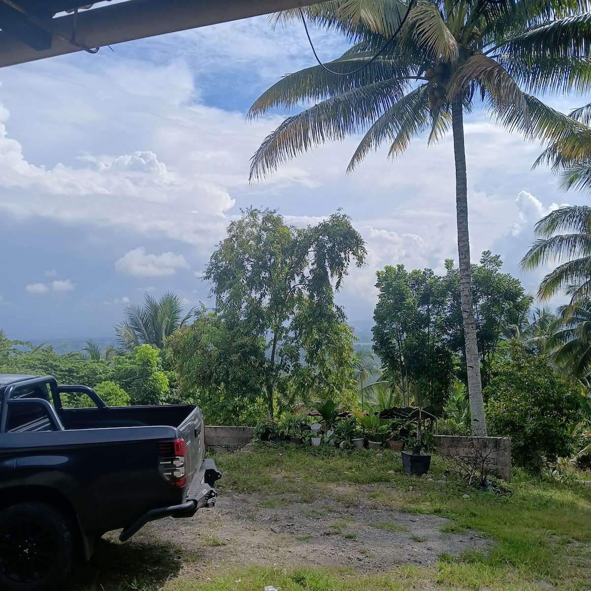 A scenic outdoor area is framed by tall palm trees and lush greenery. A pickup truck is parked on a grassy patch, with distant views of hills and clouds visible in the background. Potted plants are arranged along a stone border.