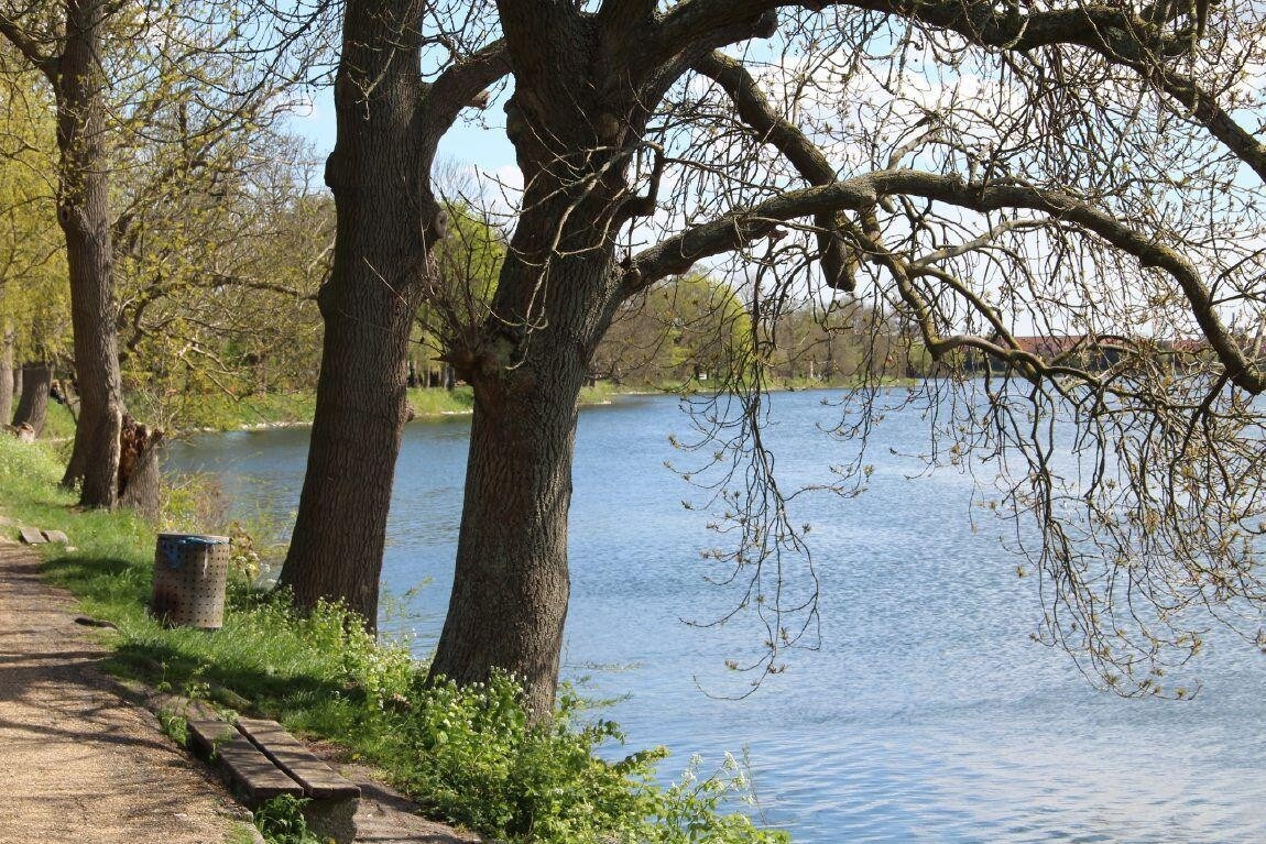 The serene lake is bordered by trees, their branches extending over the water. A gravel path runs alongside, offering a clear view of the gentle ripples and surrounding greenery, creating a peaceful outdoor setting.