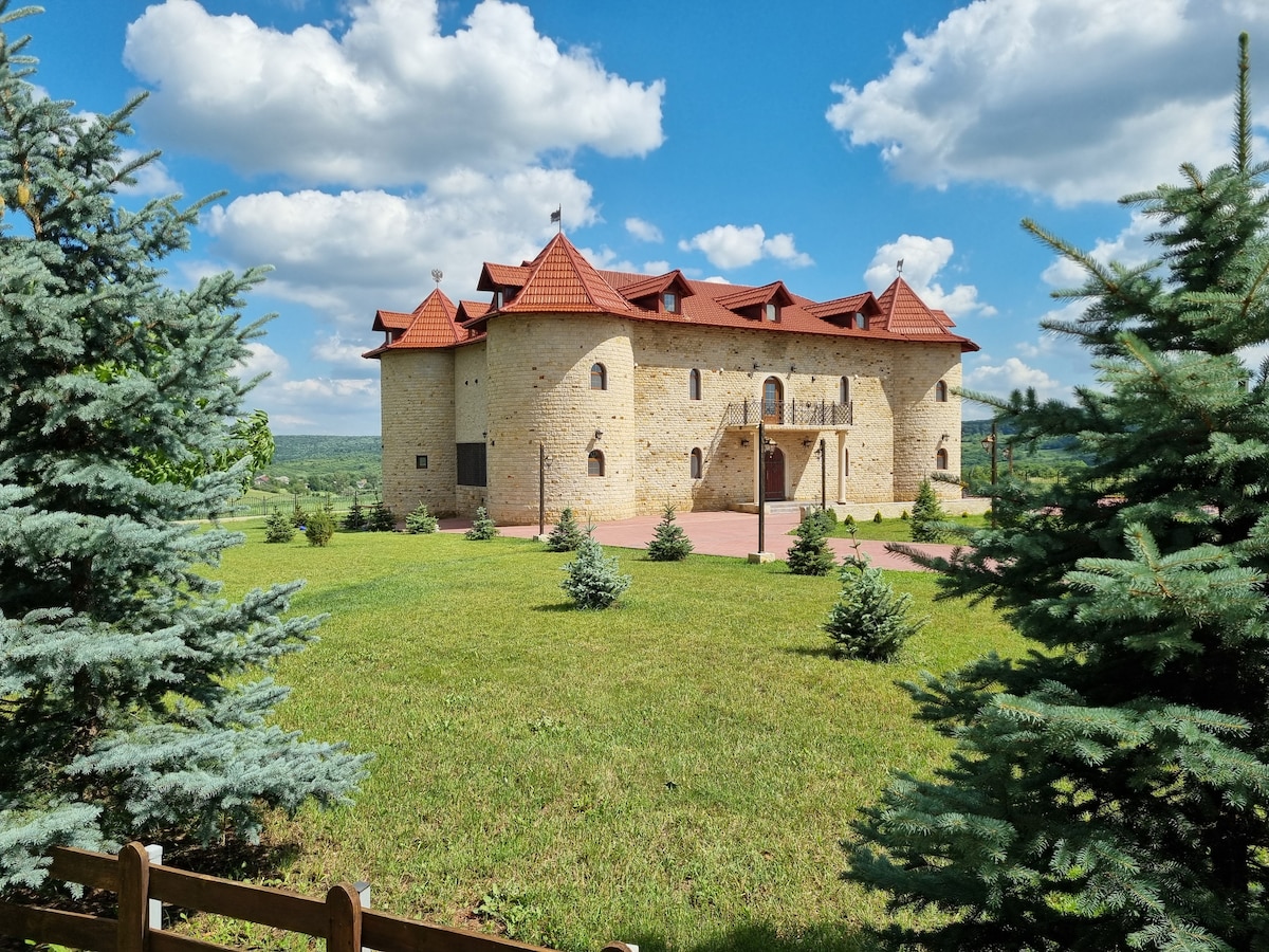 The historic family castle is positioned amidst lush greenery, featuring a distinct architectural style with a textured stone exterior and a prominent red roof. Surrounding evergreen trees add to the serene landscape, while a pathway leads to the castle entrance.