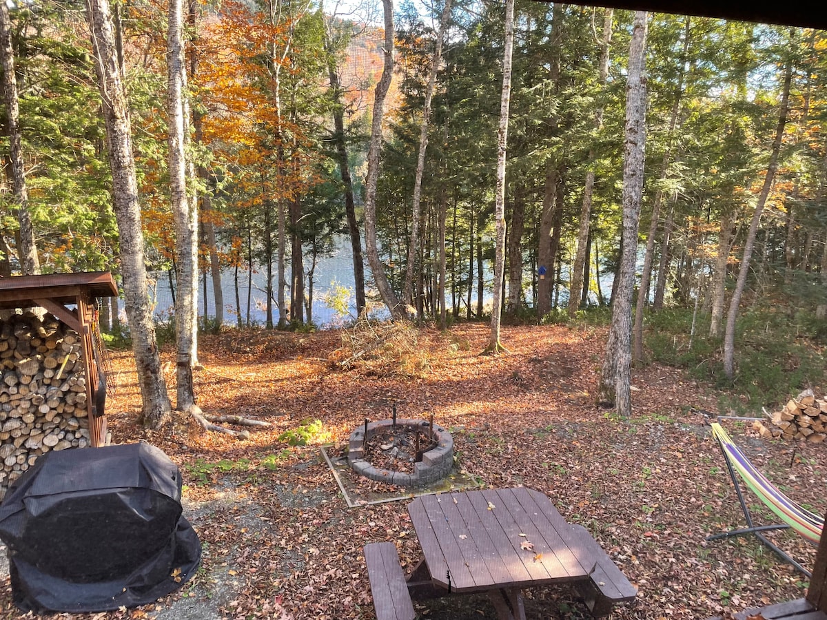 A forested outdoor area showcases a seating arrangement around a fire pit, surrounded by fallen leaves. A stack of firewood is neatly arranged nearby, and the calm water of Timoney Lake is visible through the trees in the background.