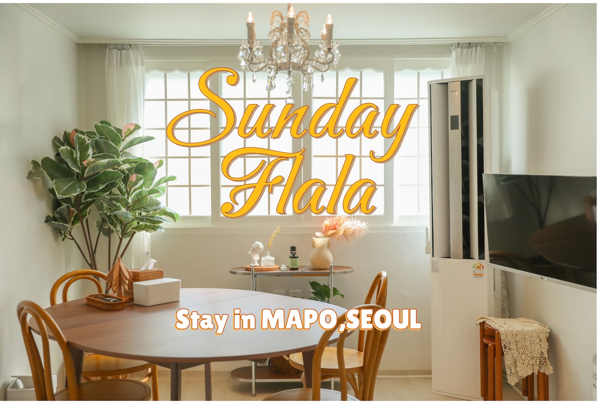 A dining area features a round wooden table accompanied by curved chairs, positioned beside a large window with sheer drapes. A potted plant adds greenery to the space, while an air conditioning unit and a standing television are visible along the wall.