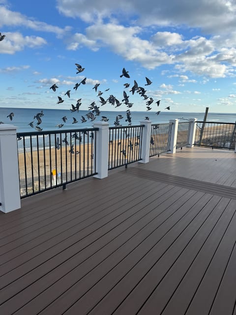 Panoramic penthouse beach view/water front.
