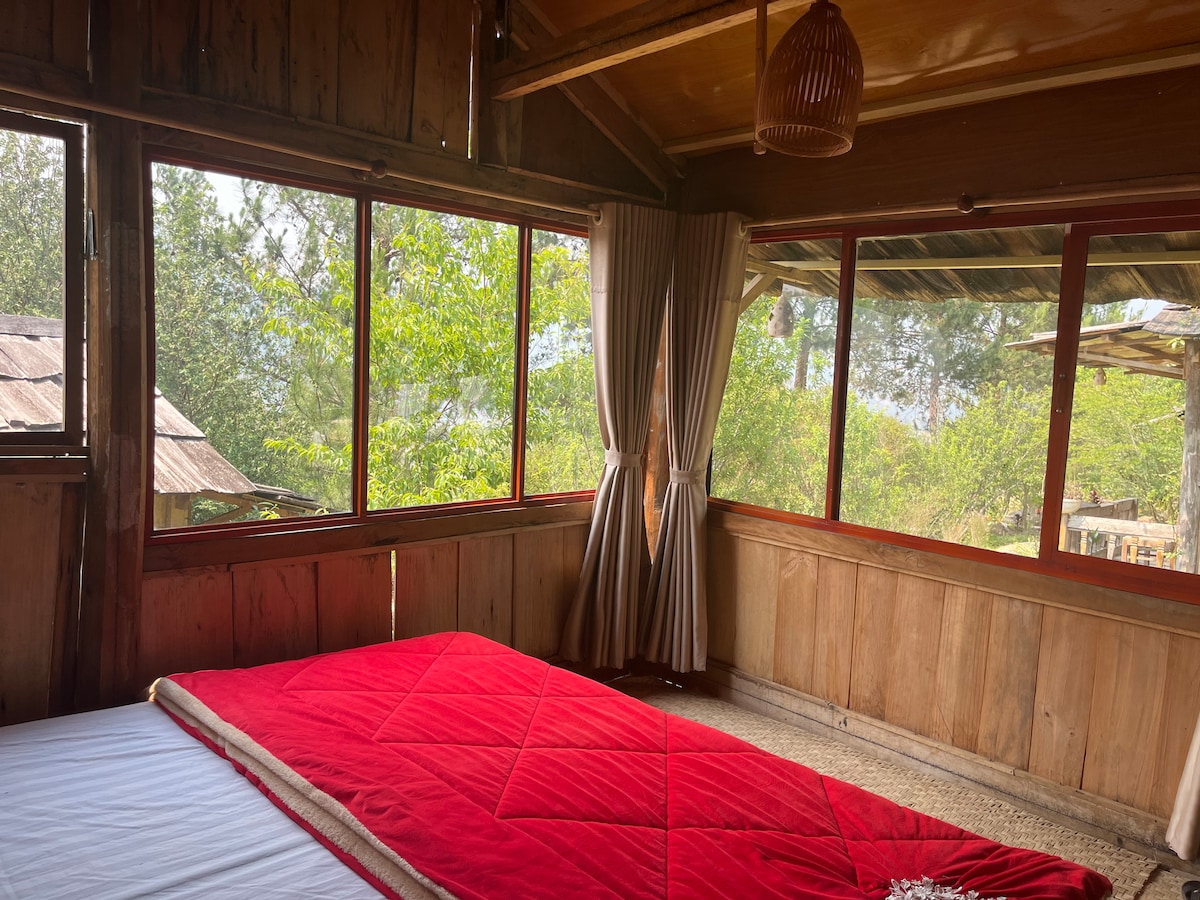 A wooden sleeping area features large windows that provide natural light and views of greenery. A red blanket is laid across the spacious bed, complementing the wooden walls and flooring. Curtains frame the windows, enhancing the room's rustic charm.