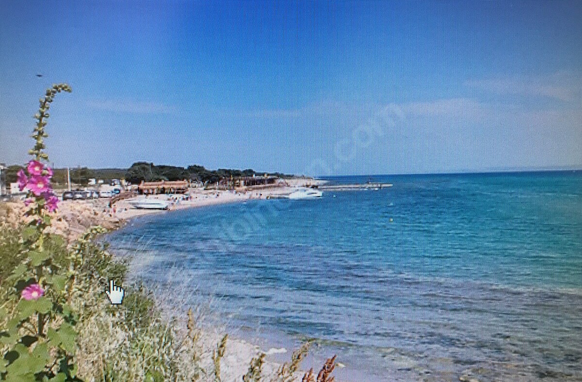 A serene coastal scene features gentle waves lapping at a sandy beach. A cluster of trees and green plants line the shore, while a clear blue sky stretches overhead. A few boats can be seen in the water, contributing to the tranquil ambiance of the area.