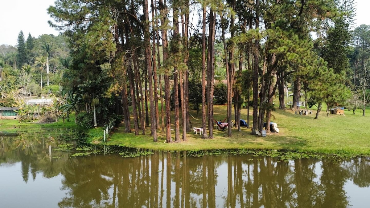 A view of a serene lakeside area surrounded by tall pine trees, featuring spacious grassy areas. Several hammocks can be seen under the trees, and a few seating arrangements are positioned nearby. The calm lake reflects the surrounding greenery.