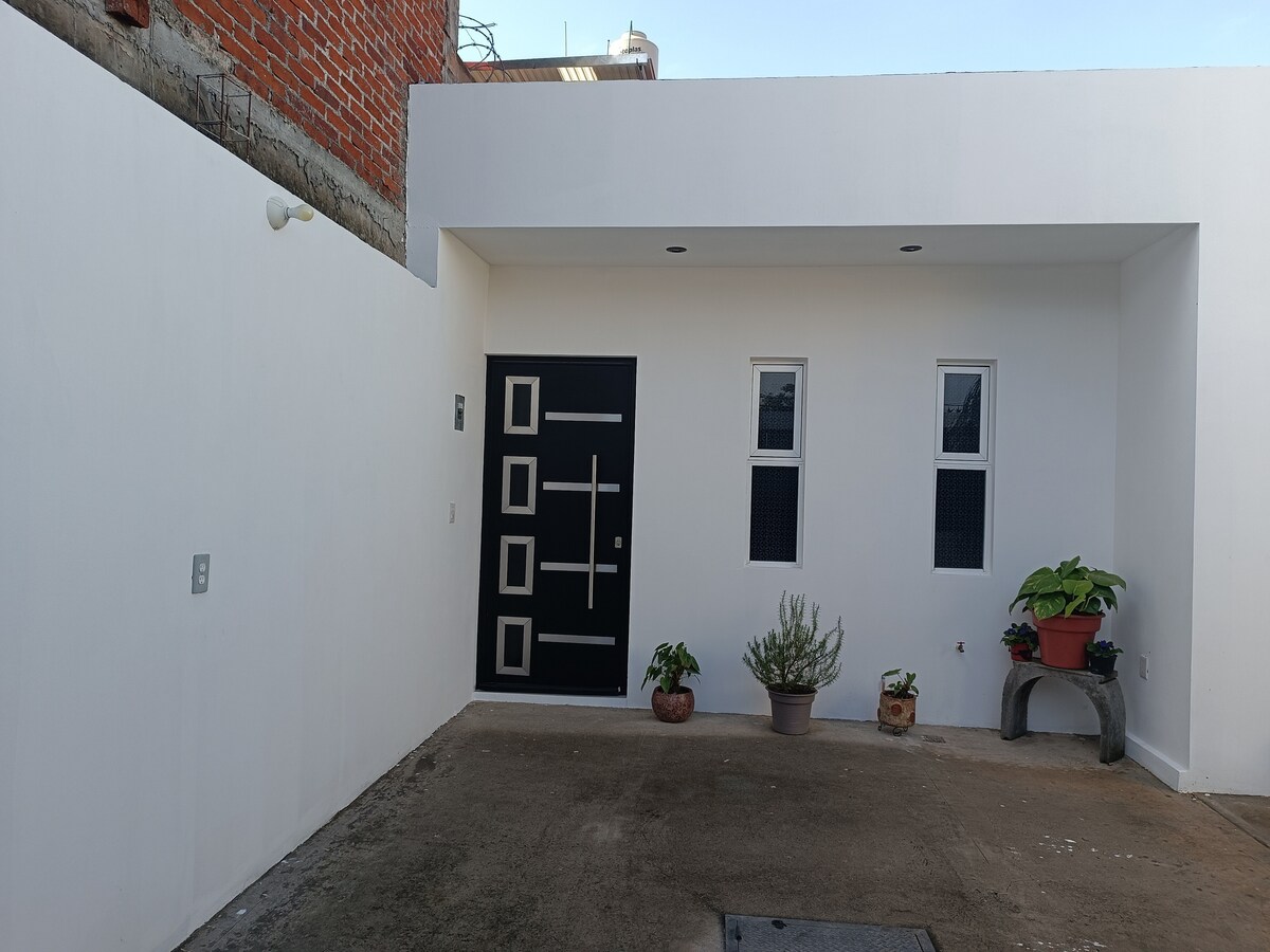 A modern exterior features a black front door with geometric designs, flanked by two small windows. Potted plants are arranged along the wall, contributing to the minimalist aesthetic. The clean, white walls and concrete flooring create a serene and inviting entrance.