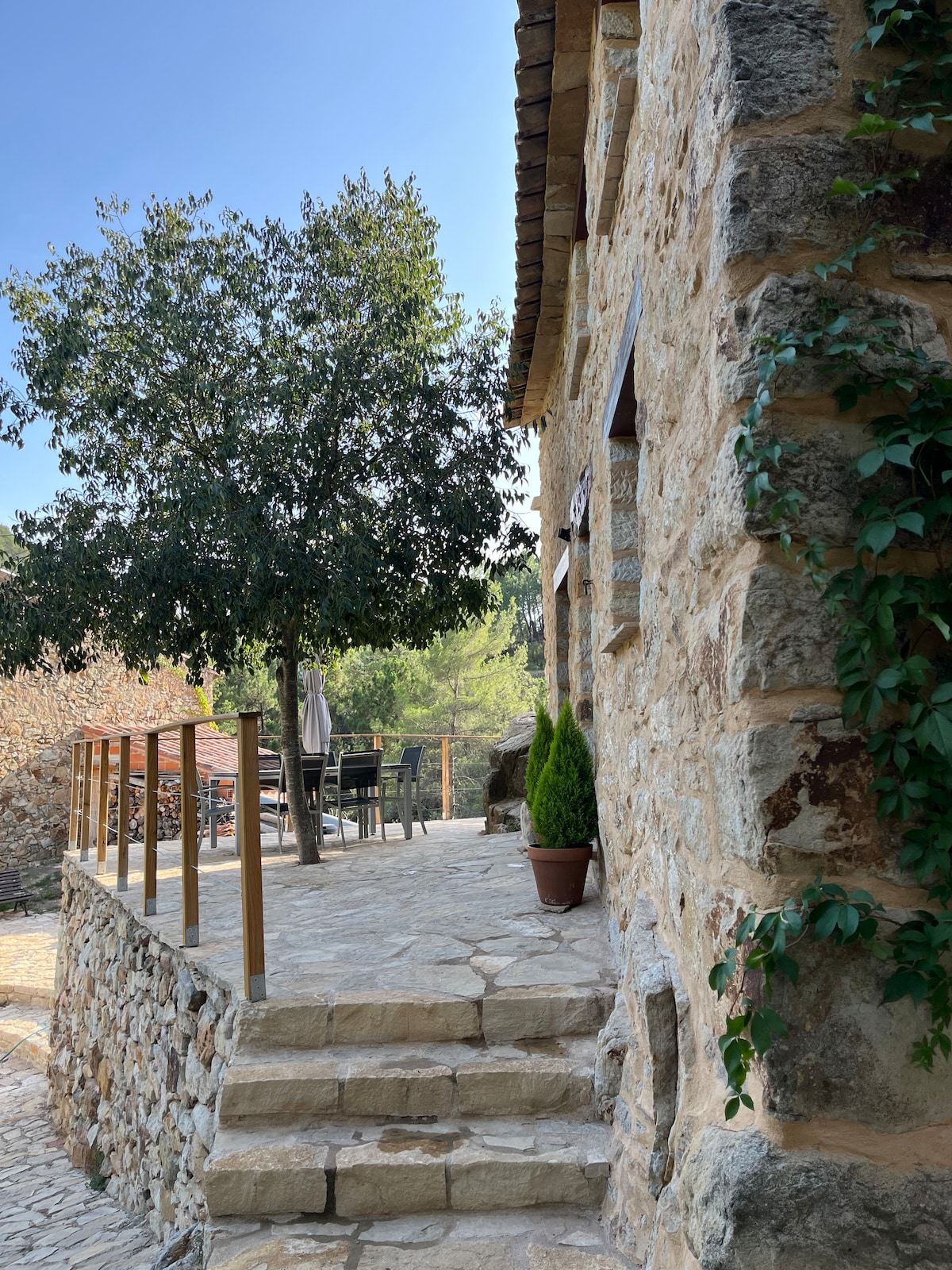 A rustic stone exterior is framed by greenery, showcasing a steps leading to a terrace area. The patio is furnished with a dining table and chairs, surrounded by tall trees and shrubs, providing a natural setting for outdoor relaxation.