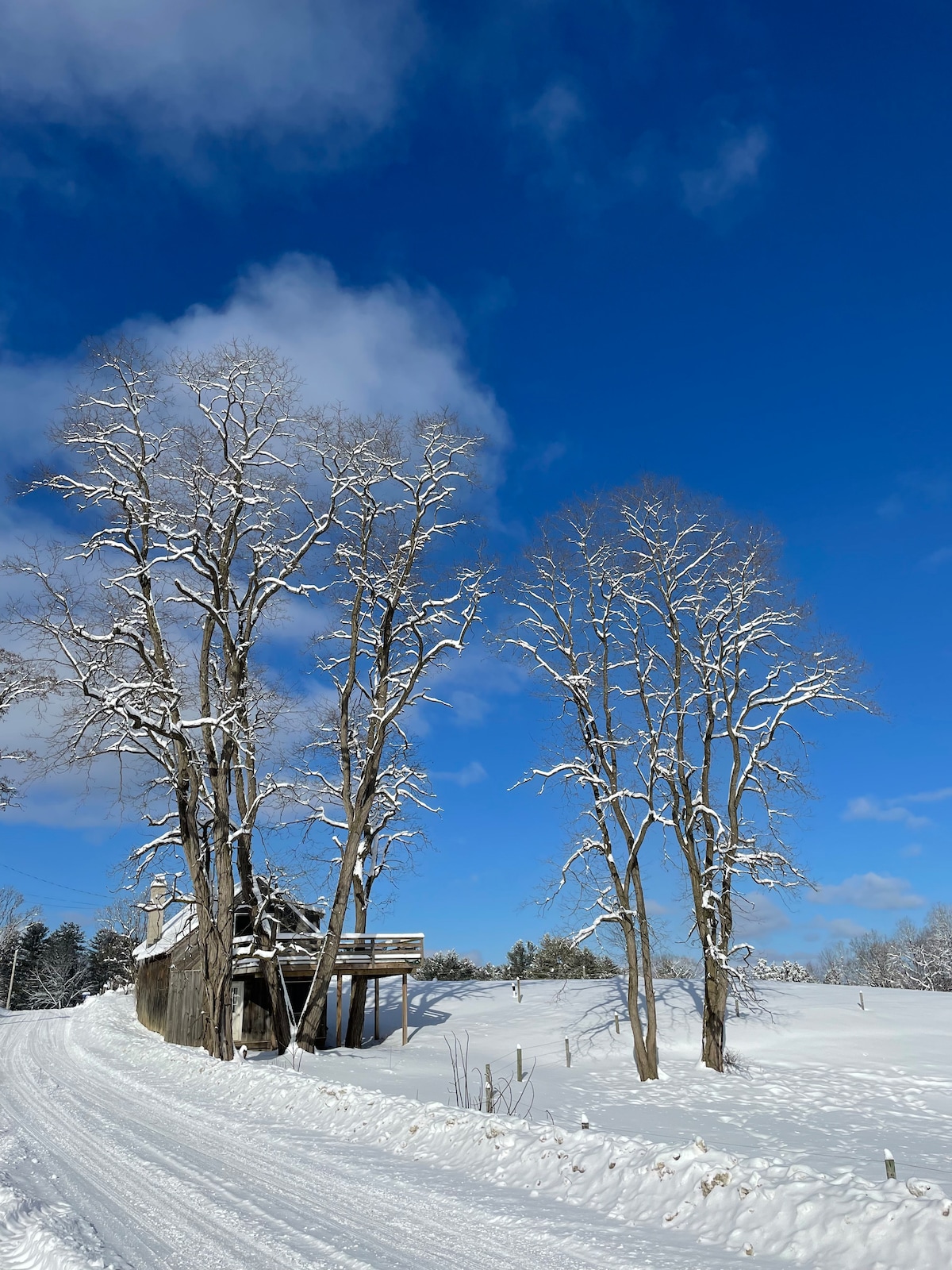 The rustic cottage is framed by tall, snow-covered trees against a bright blue sky. A snowy dirt road winds gently alongside the structure, with a serene winter landscape visible in the distance.
