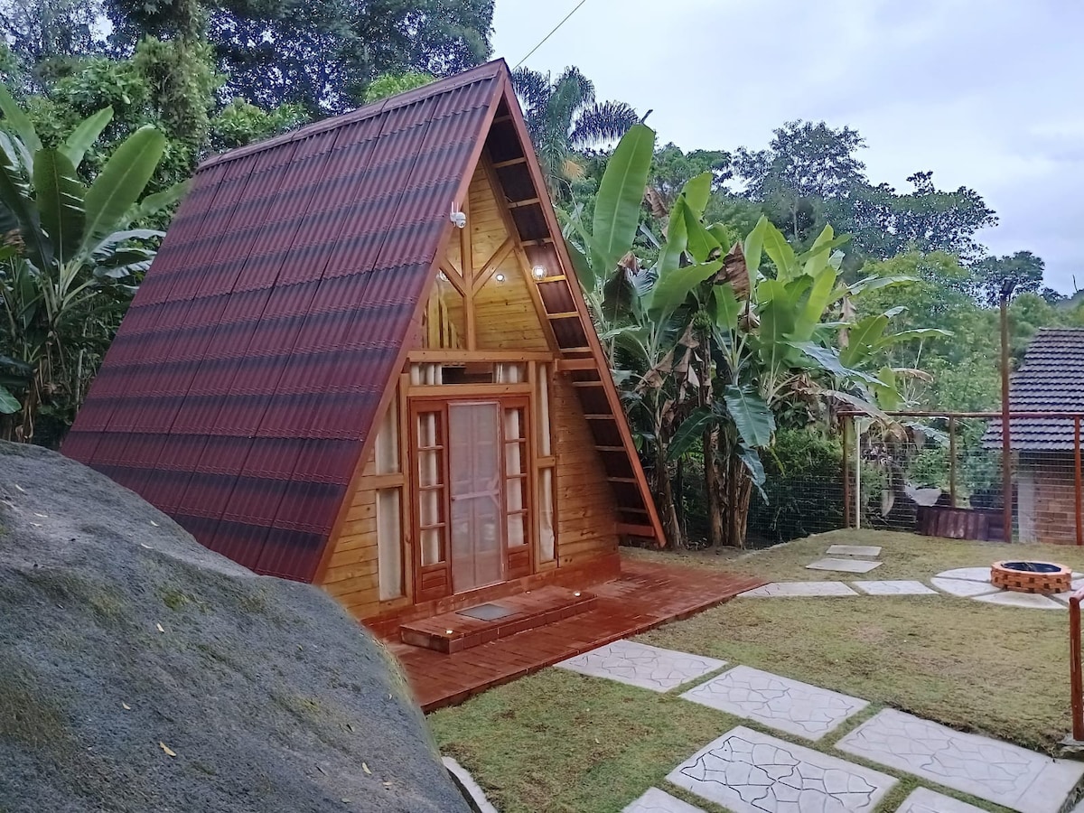 The exterior of the chalet features a wooden A-frame structure with a sloped roof, surrounded by lush greenery. Pathways made of stone lead to the entrance, which is framed by large glass doors. A fire pit is set in a grassy area nearby.