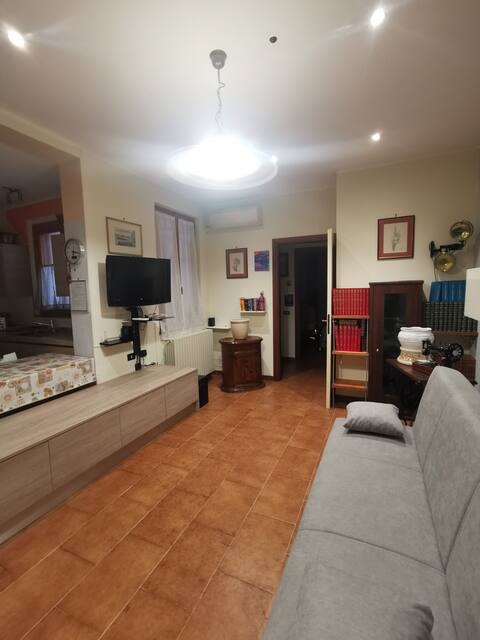 Top performing Airbnb: Sofi and Matti's House in Pavia