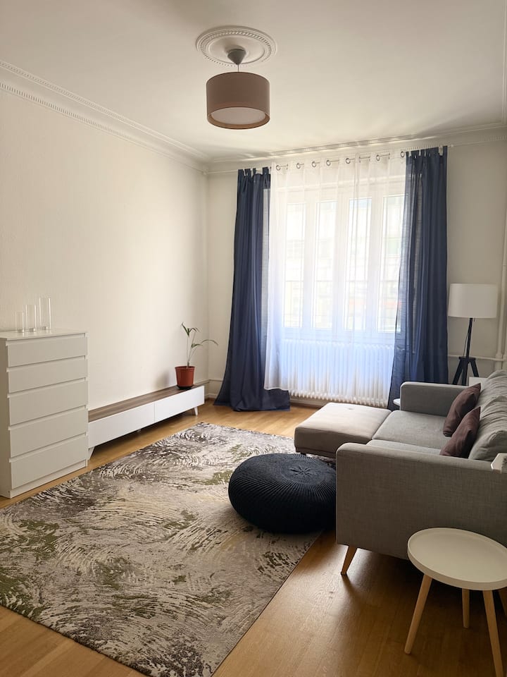Appartement éLégant En Centre Ville - Geneva