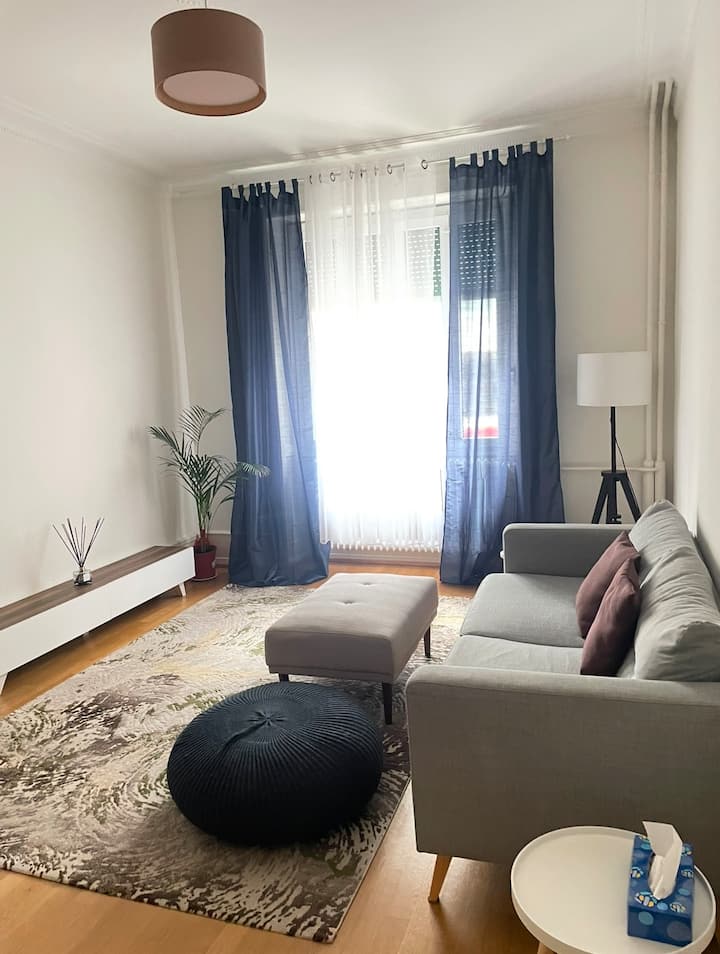 Appartement Centre Genève Modern Et Lumineux - Ginebra