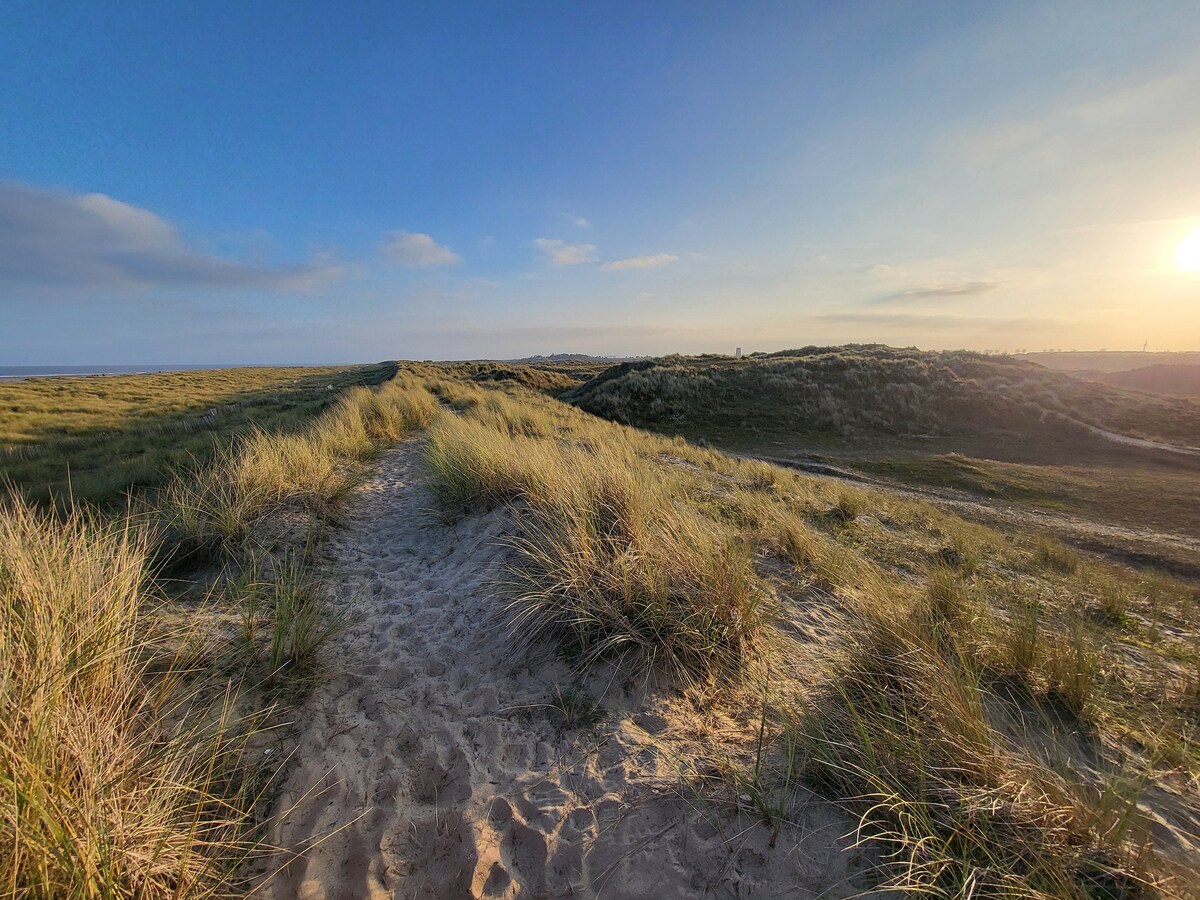 A sandy path meanders through grassy dunes under a clear sky, inviting exploration of the surrounding natural landscape. The horizon stretches out, showcasing a tranquil scene with hints of the sea in the distance.