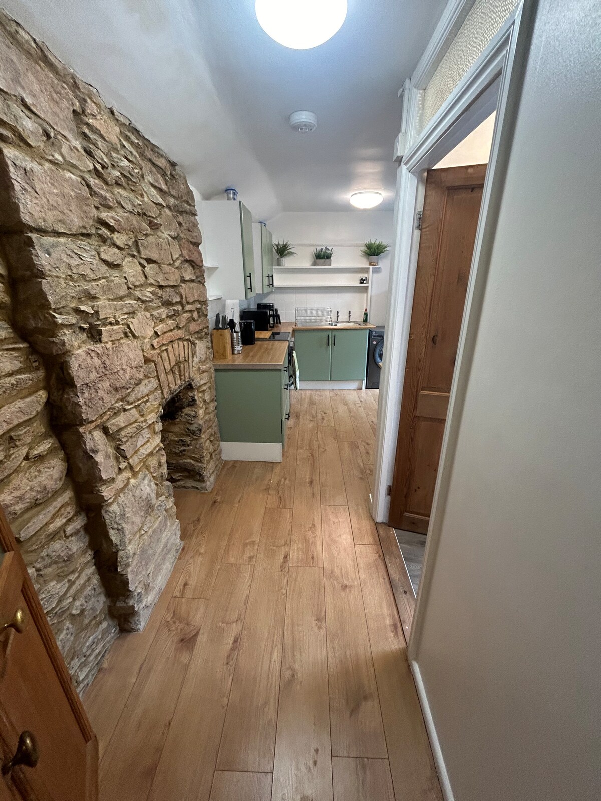 A narrow kitchen area features a mix of stone and modern cabinetry. The wooden floor extends throughout, while green cabinetry complements an open space with countertops. Plants are arranged on shelves, and appliances are neatly organized along the wall, creating a functional cooking environment.