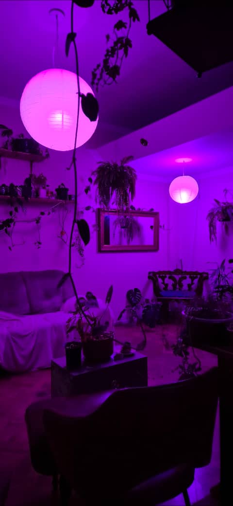 Top Airbnb: Garden in the heights with Balcony and tranquility in Centro