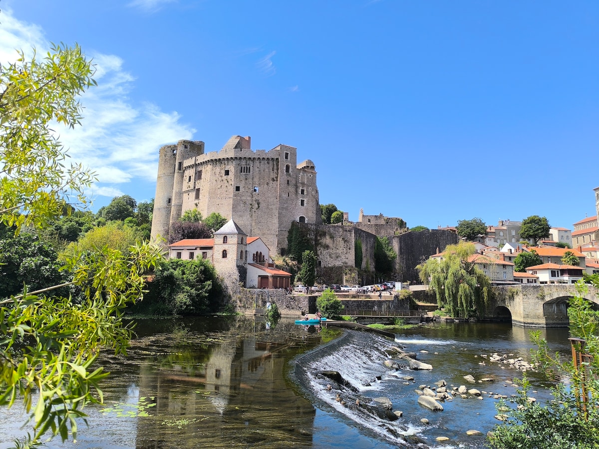 A historic castle is positioned atop a hill, overlooking a calm river. Surrounding buildings with red roofs and lush greenery offer a picturesque view. The water reflects the castle's structure, and small boats can be seen near the bank, contributing to the serene atmosphere.