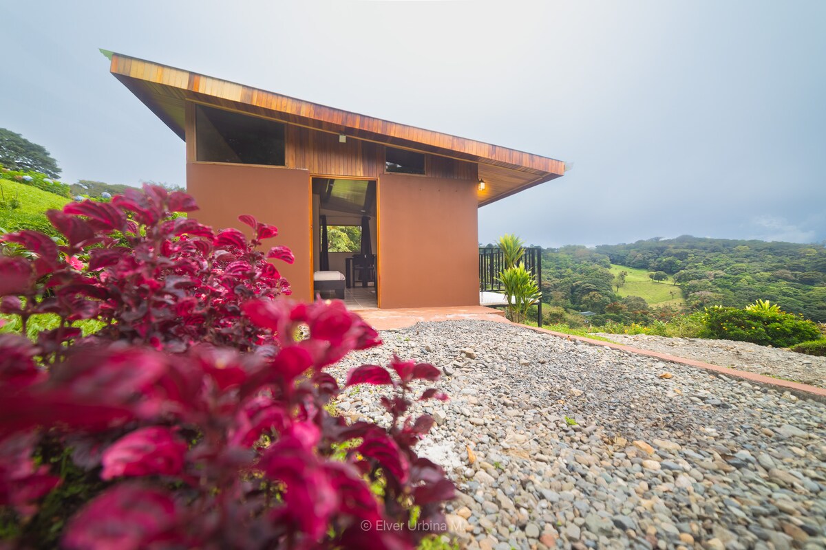 A modern Tiny House is nestled in a lush landscape, featuring a simple exterior with a sloped roof and a warm color palette. Vibrant foliage lines the pathway leading to the entrance, enhancing the natural surroundings. The backdrop showcases rolling green hills and dense forest.