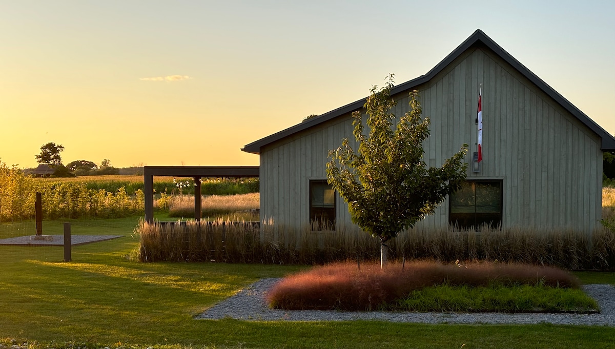 The exterior of a modern house is highlighted by a gentle sunset glow. A small tree is placed in the garden, surrounded by ornamental grasses. A pathway leads to a covered seating area, blending harmoniously with the surrounding rural landscape.