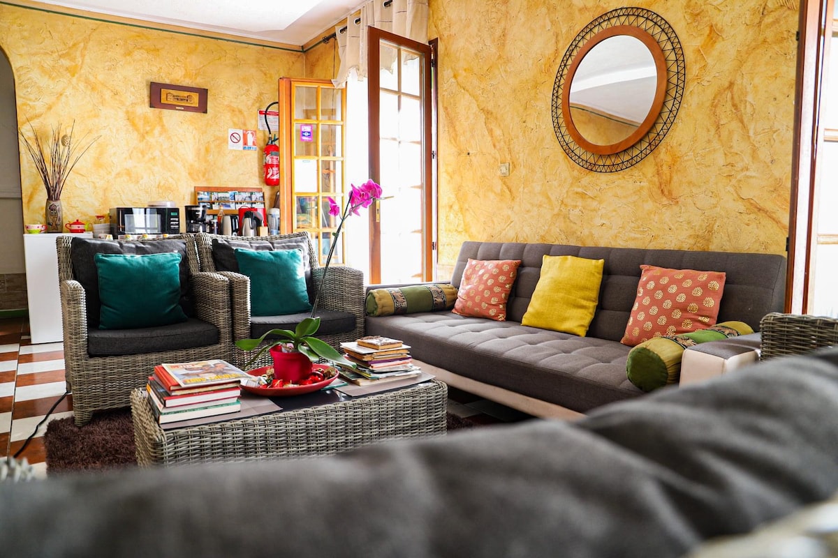 A cozy living area showcases a gray sofa adorned with colorful cushions and a round mirror above. A coffee table is surrounded by magazines, while a small plant adds a touch of greenery. Light filters in through multiple windows, enhancing the warm tones of the walls.