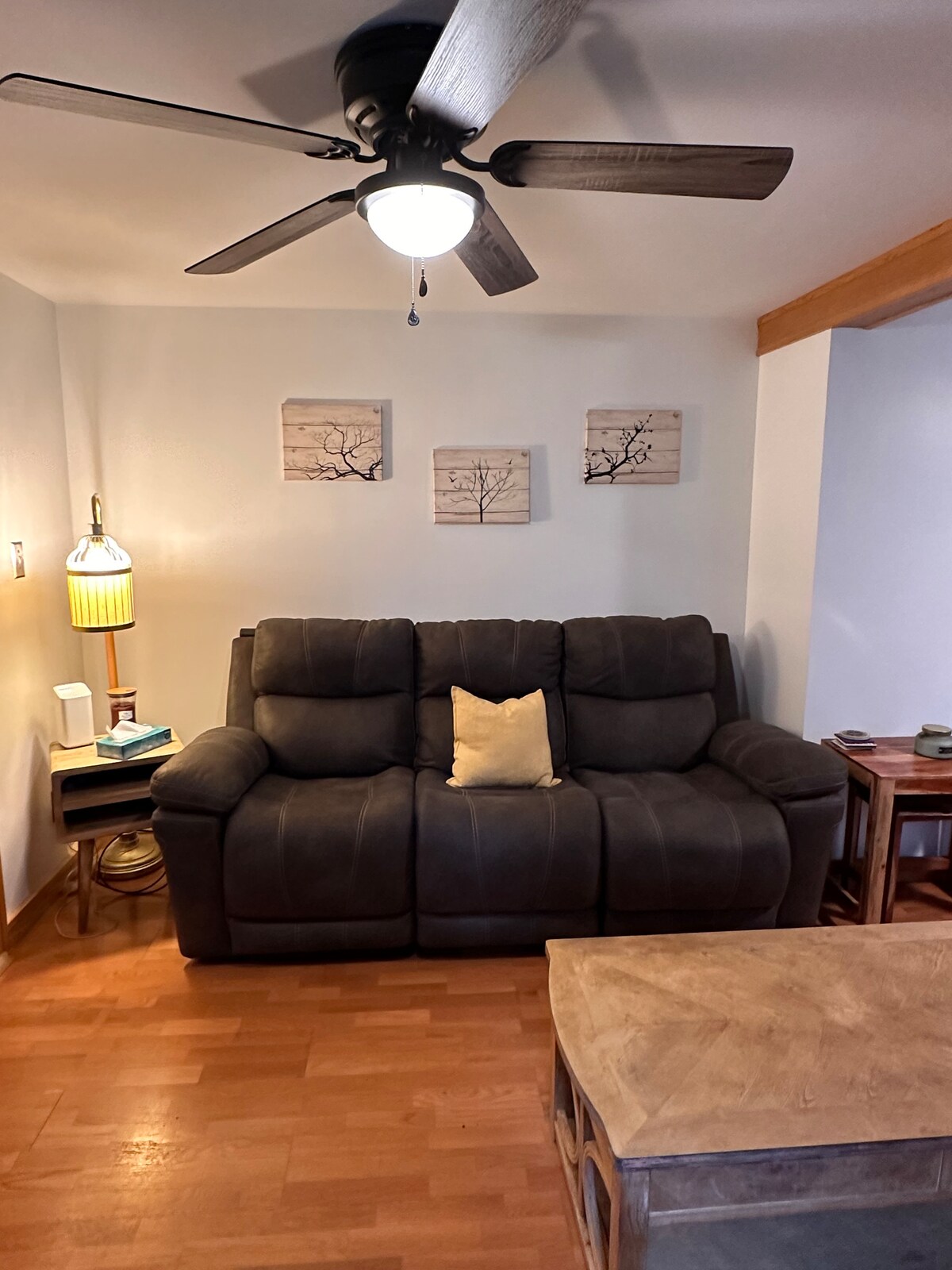 غرفة المعيشة 