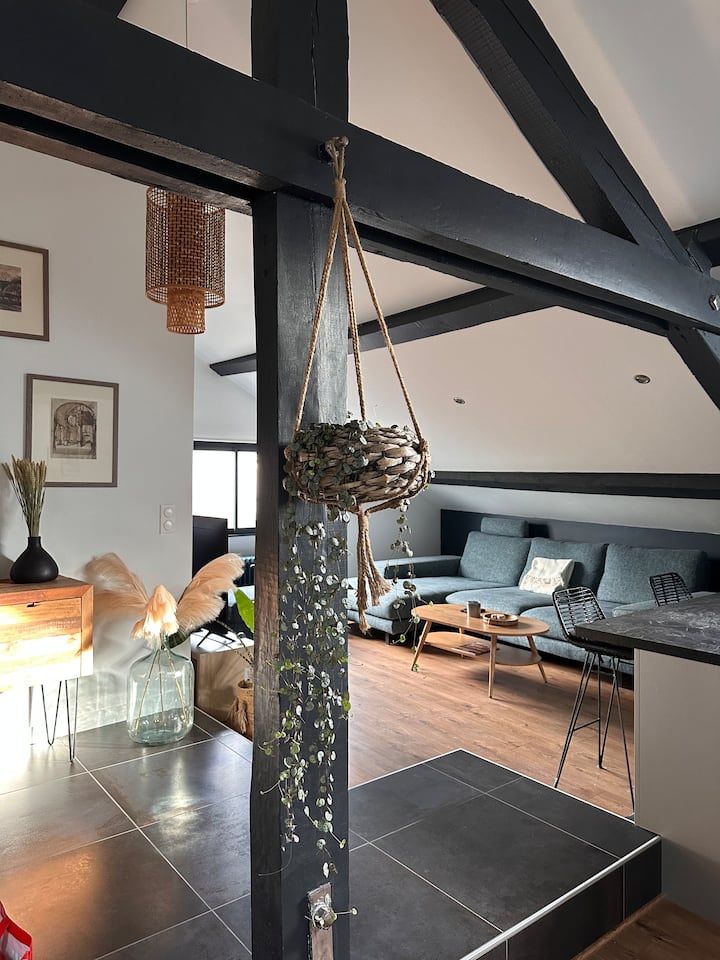 L'atelier Bleu Logement Atypique Hyper Centre - Lake Geneva
