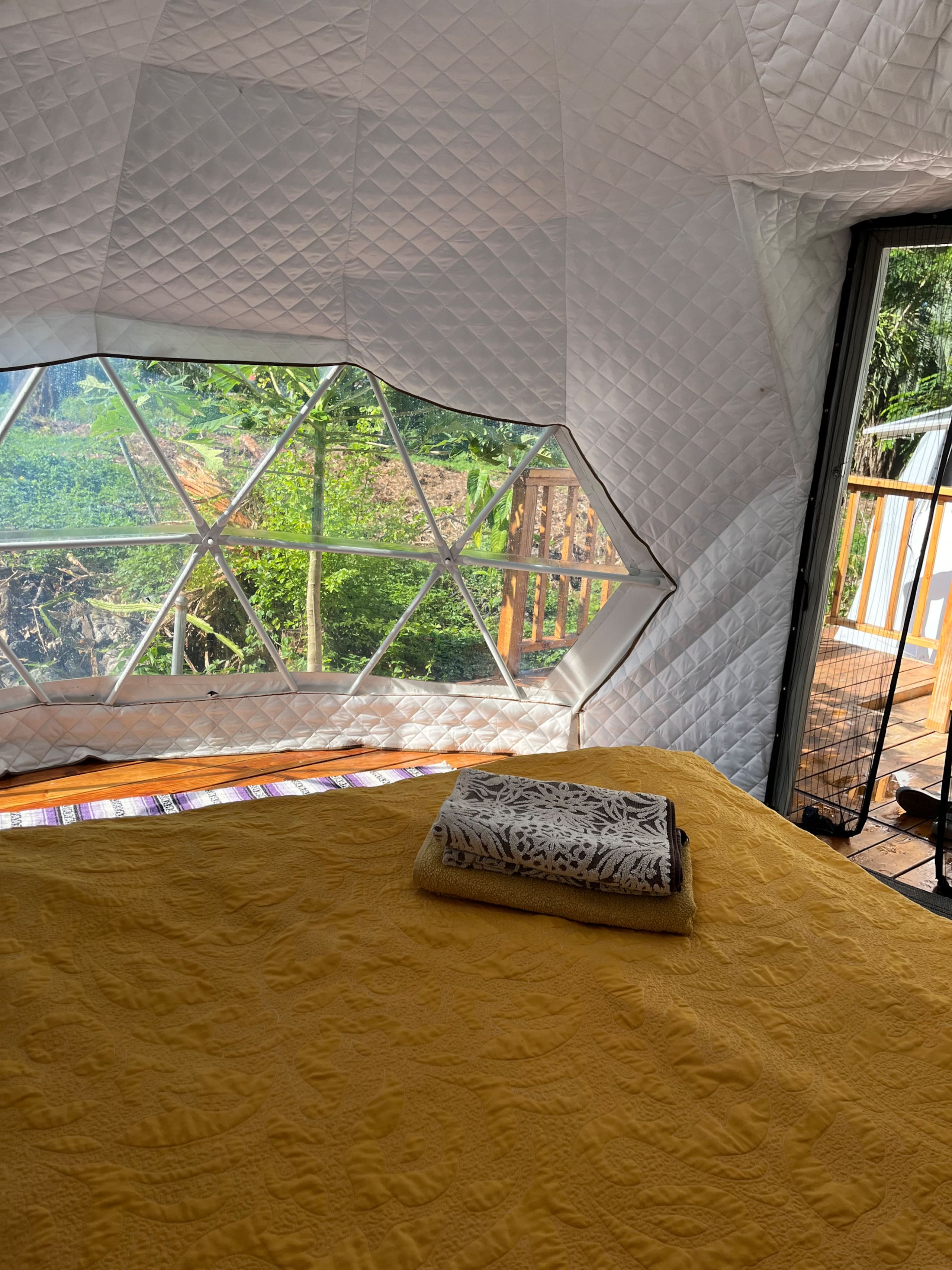 The Fairy Dome Nest - Photo 4