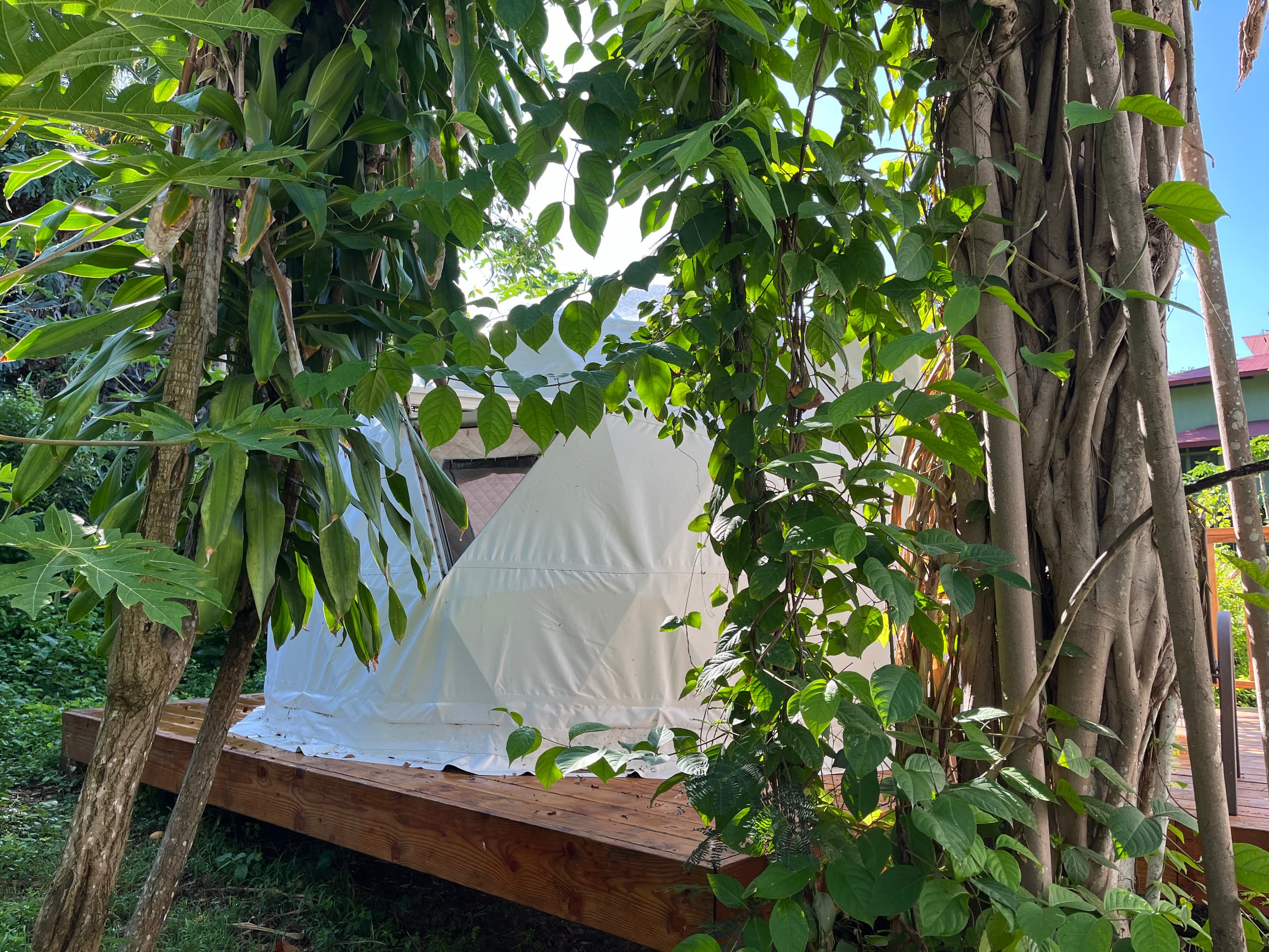 The Fairy Dome Nest - Photo 11
