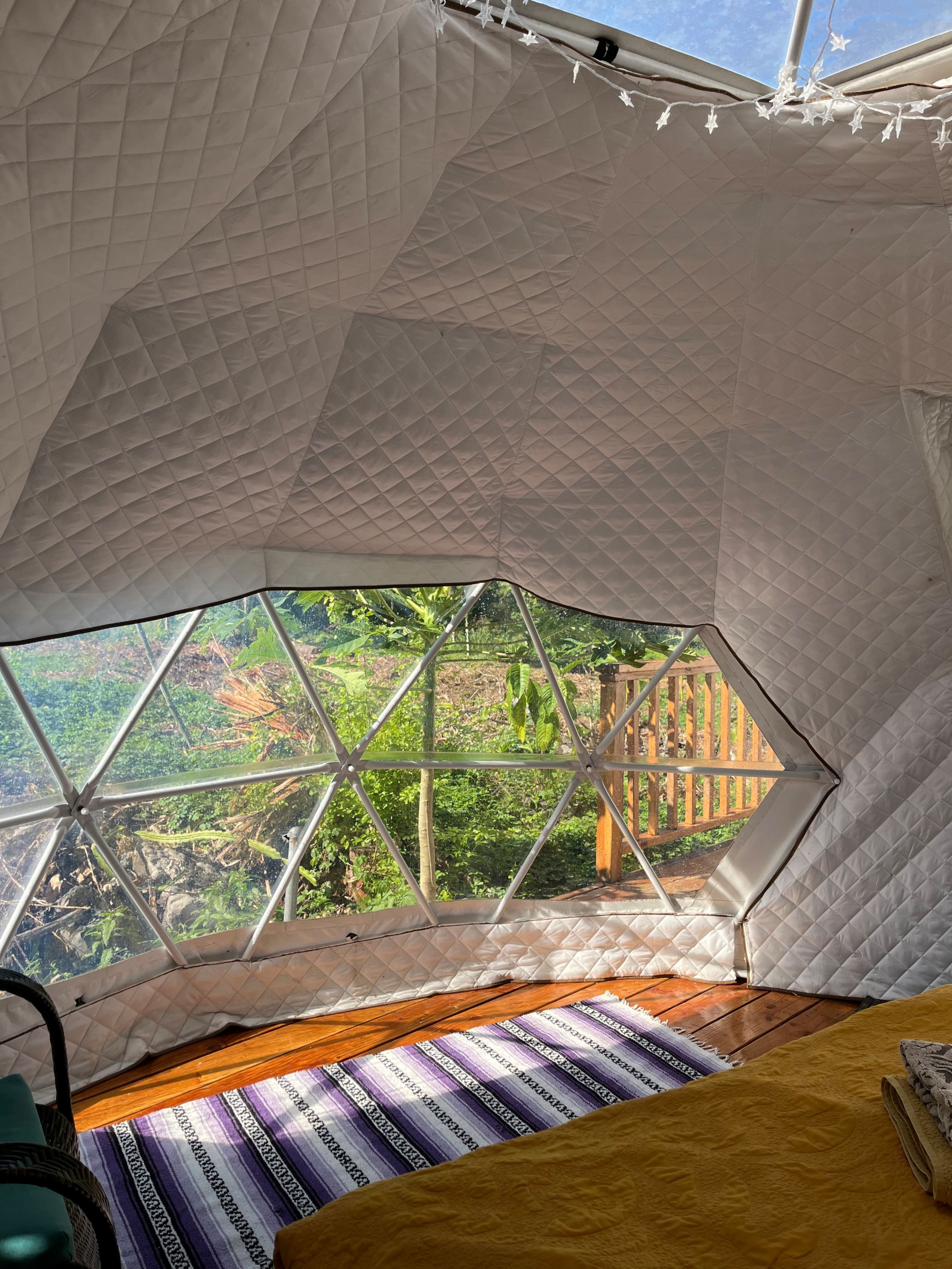 The Fairy Dome Nest - Photo 6