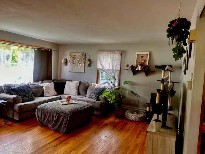 Cozy Berkshire Cottage
House-private Fenced Yard - Berkshire County, MA