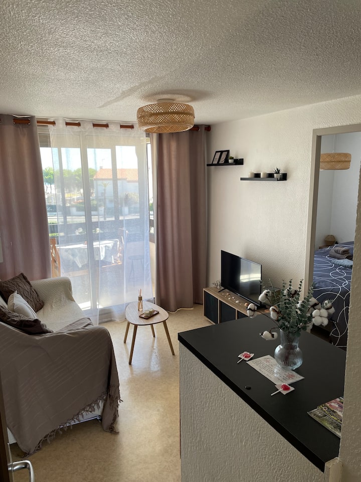 Charmant T2 50 M Mer Climatisé + Parking Privé! - Saint-Cyprien