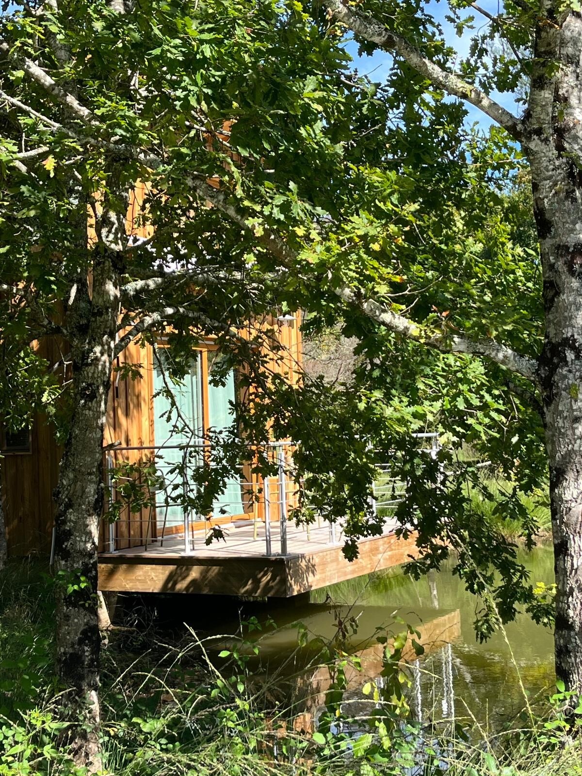A wooden structure is partially visible through lush green foliage, suggesting a serene environment. Large glass doors open onto a terrace that overlooks tranquil water, inviting connection with nature. The reflection of trees can be seen in the still pond, enhancing the peaceful setting.