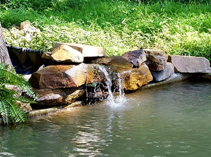 The ponds and grounds