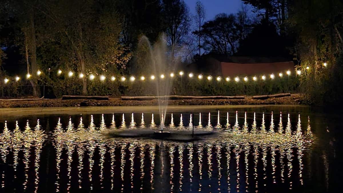 The ponds and fountain