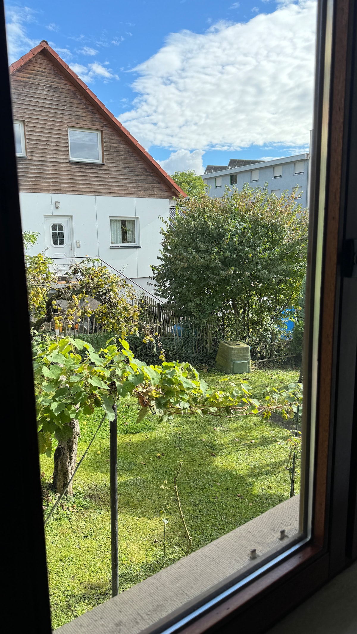 The view from the window features a green garden area, complemented by trees and shrubbery. A wooden structure is visible in the background, alongside a well-maintained lawn. Bright clouds fill the sky, creating a pleasant outdoor atmosphere.