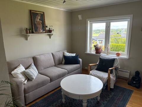 Popular Airbnb listing: Cozy apartment with fjord view and possibility for 2 beds. in Færder