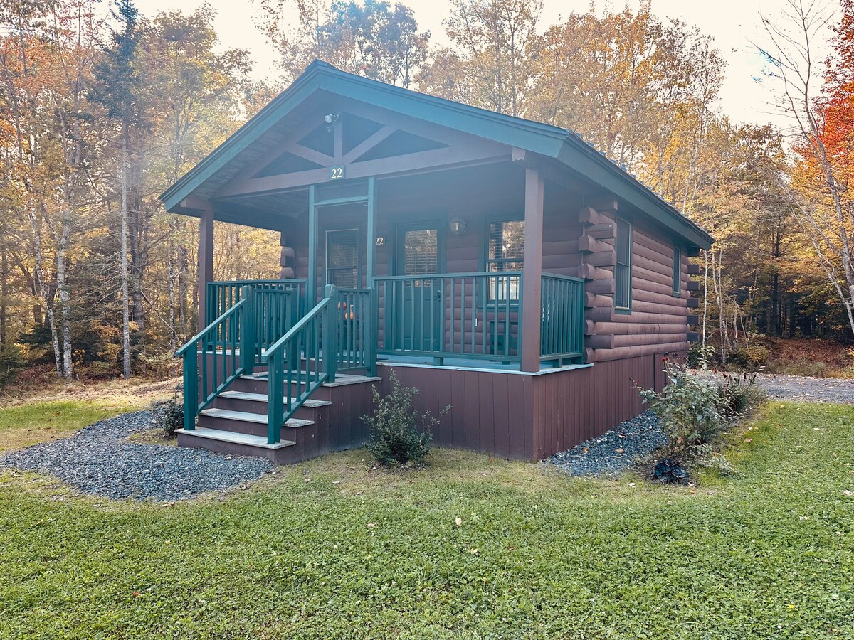 The exterior of the cabin is presented, featuring a wooden facade with a steeply pitched roof. The covered porch, highlighted by teal railings, extends out to a pathway. Surrounding greenery and autumn foliage add a natural backdrop to the cabin's rustic charm.