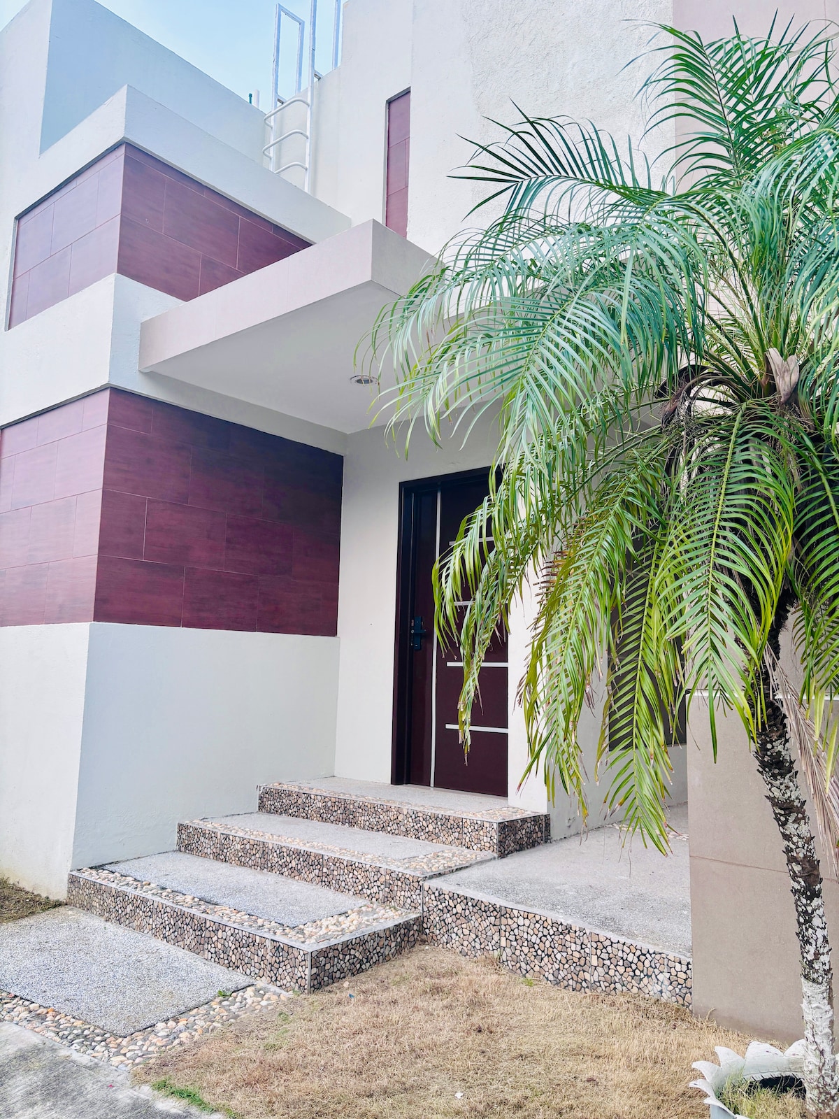 The entrance of the lodging is framed by a well-maintained palm tree and stone steps leading to a dark wooden door. The exterior features a combination of light and dark cladding, creating a modern aesthetic.